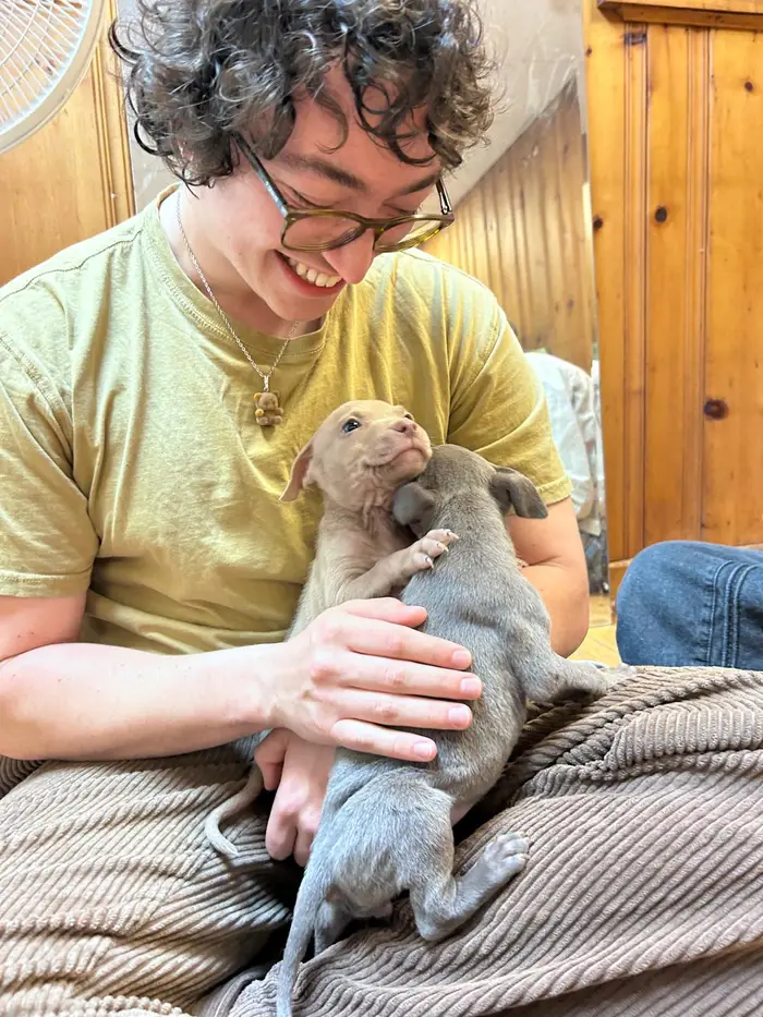 Sruti's friend laughing with puppies