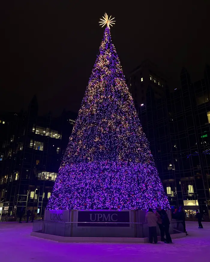 tree at the UPMC ice skating rink
