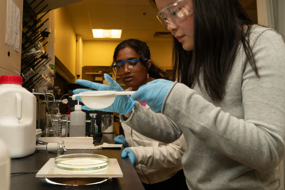 Chemical Engineering students at work in the lab