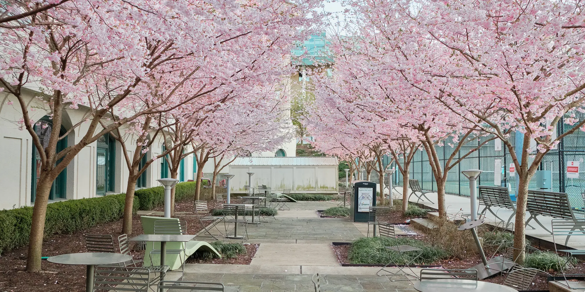 Tennis courts on campus in the spring