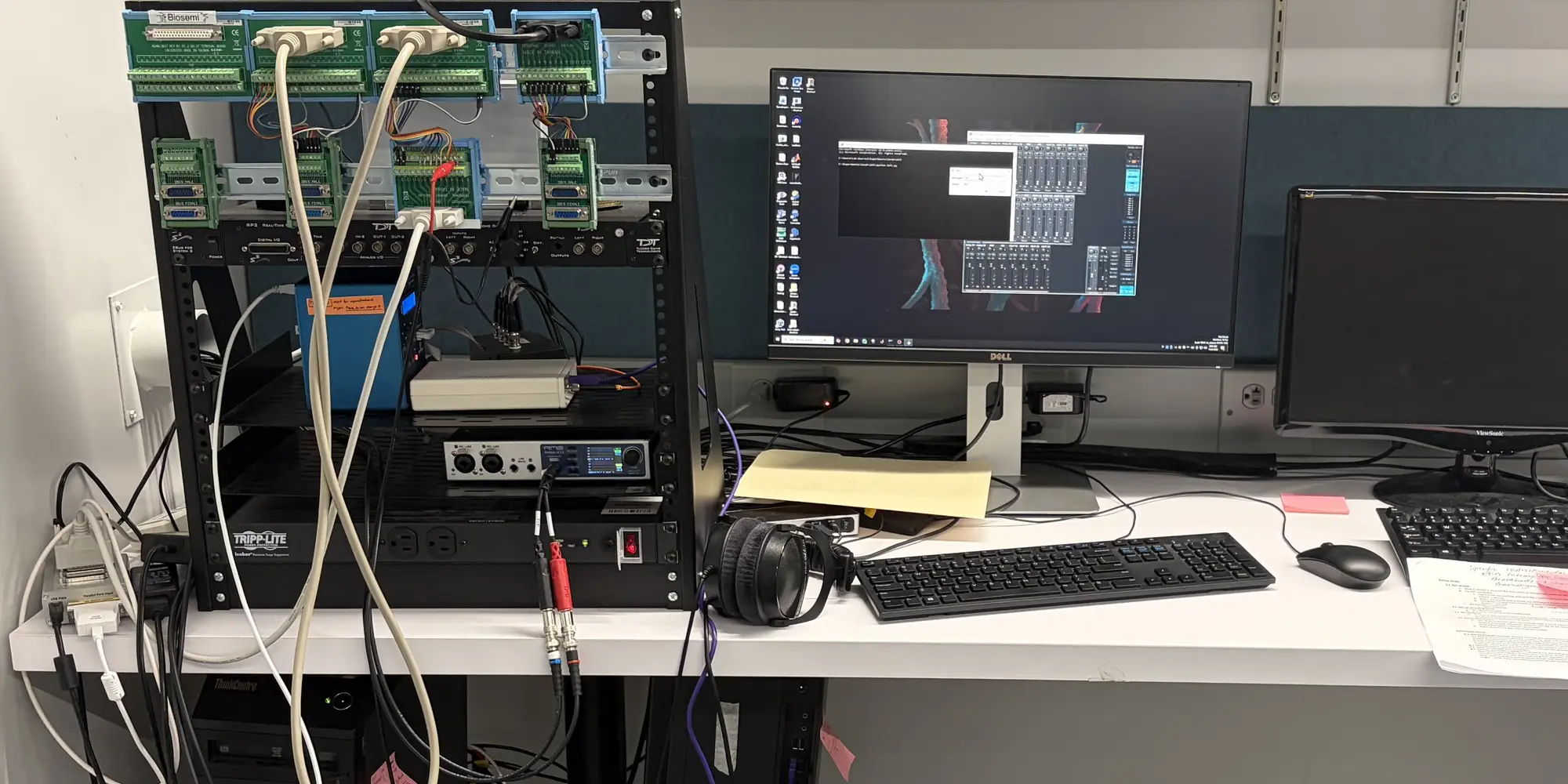 Photograph of the inside of Ally's research lab and her research