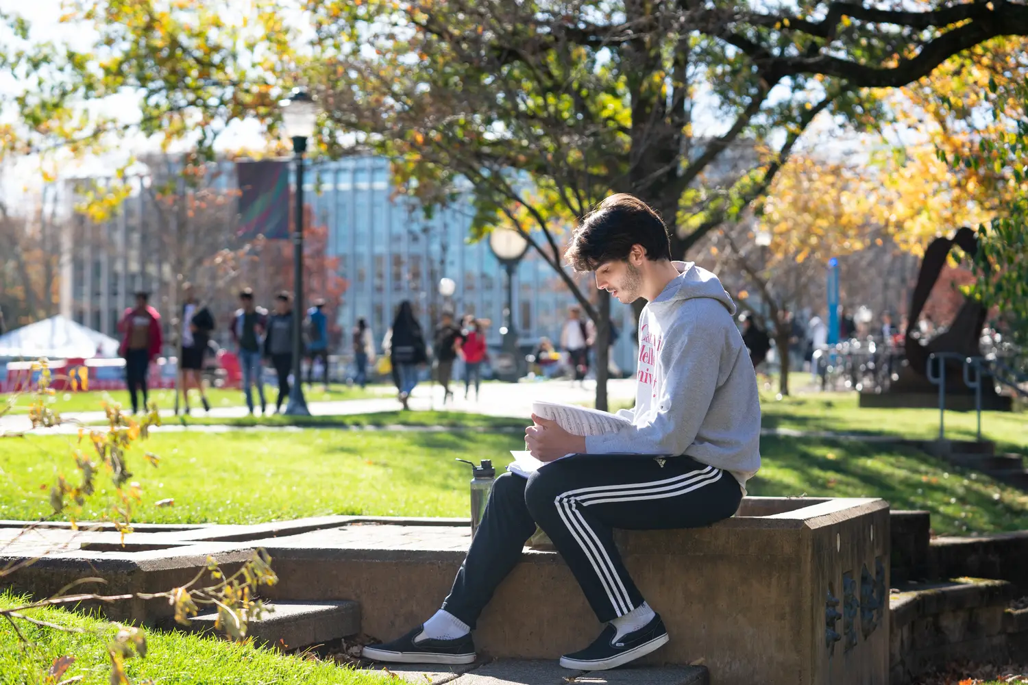 Student reading on campus