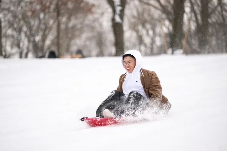 Person sledding on Flagstaff Hill